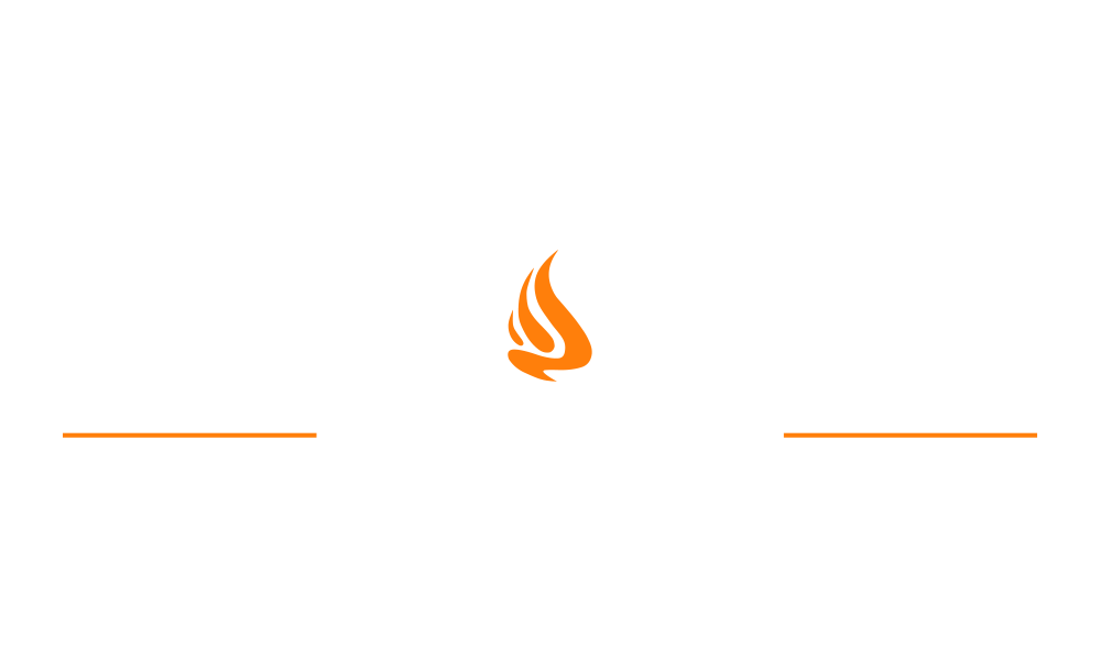 Black November Dinoxx